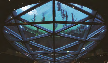 bifa·必发(中国区)唯一官方网站